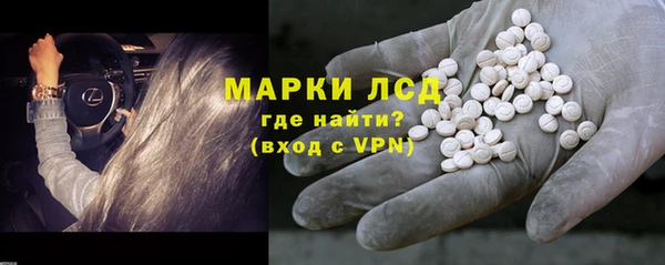твердый Новодвинск
