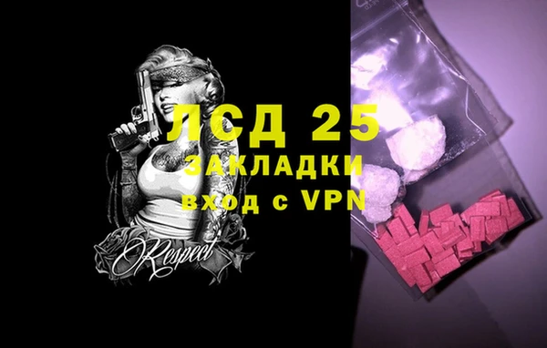твердый Новодвинск