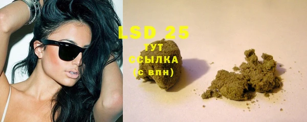 твердый Новодвинск