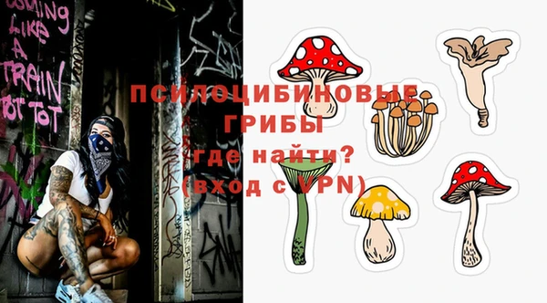 твердый Новодвинск