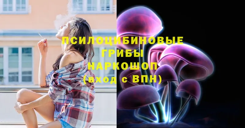 Псилоцибиновые грибы MAGIC MUSHROOMS  Заполярный 