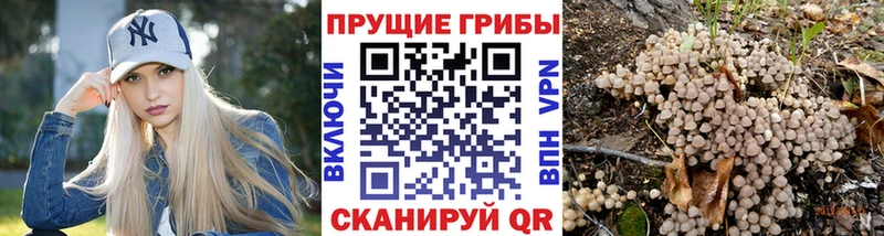 MEGA зеркало  Заполярный  Псилоцибиновые грибы мухоморы 